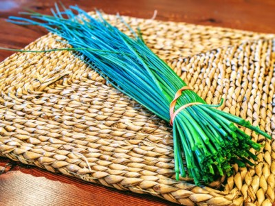 Box 3: Chives Make an&nbsp;Entrance