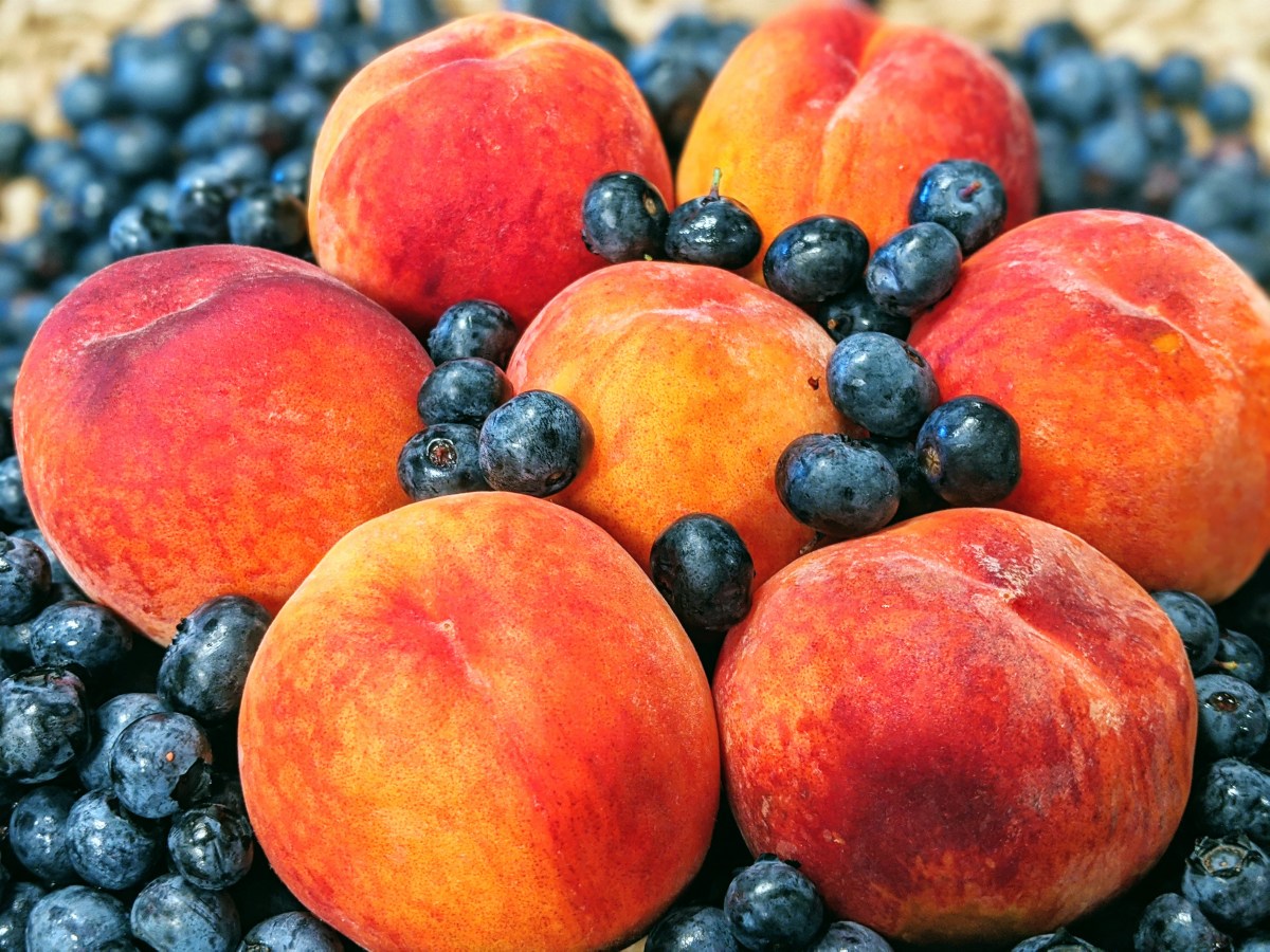 Box 6: Kale In, Lettuce&nbsp;Out