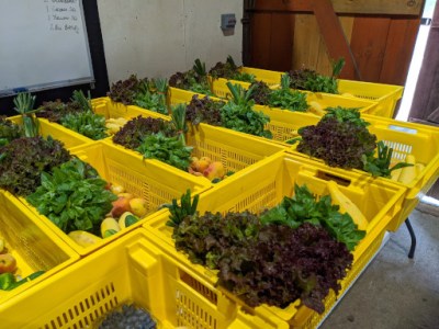 Box 5: Shades of&nbsp;Orange